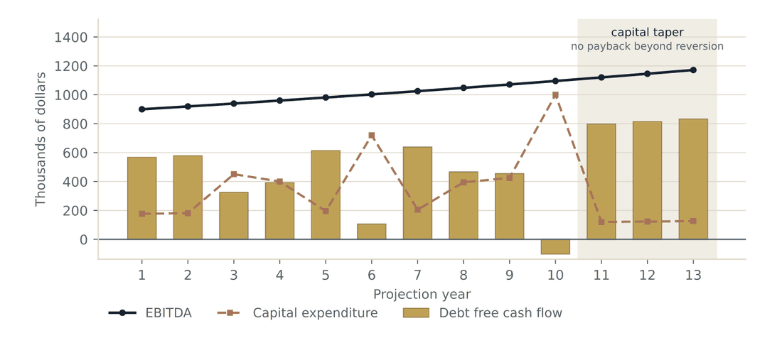 Combination chart over thirteen projection years showing EBITDA rising steadily, capital expenditure spiking in years six and ten, and debt free cash flow turning negative in year ten before the capital taper in years eleven through thirteen